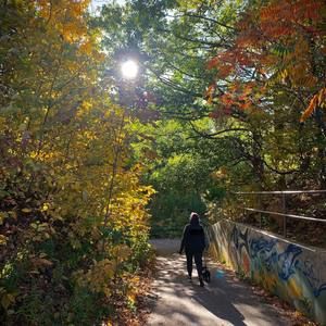 Meet your Posher, Trish